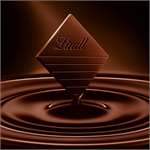 Lindt Excellence Seasalt Caremol Intense Dark Chocolate Imported